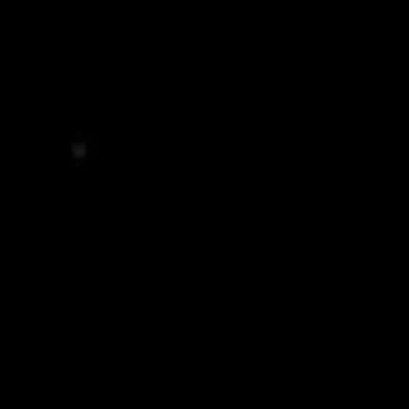 408_dani_
